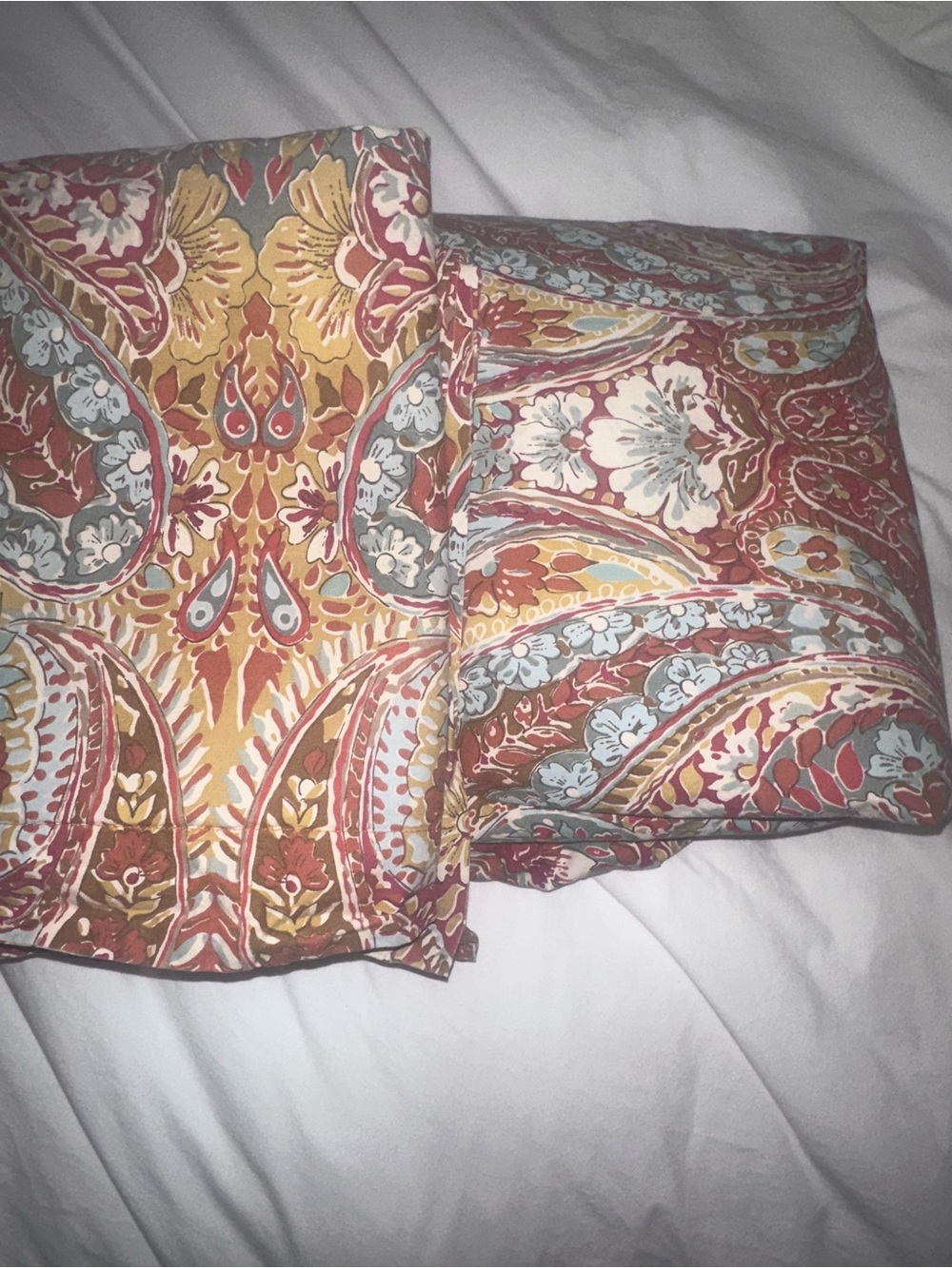 Pottery Barn Bella Paisley Duvet Cover and Shams Queen